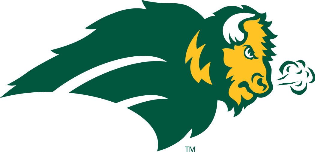 North Dakota State Bison 2005-2011 Alternate Logo v2 diy DTF decal sticker